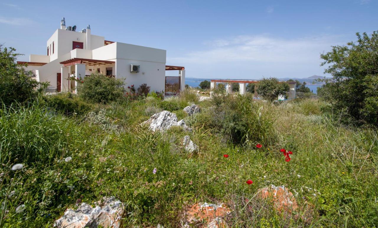 Villa Phenωmena Apartments Kokkino Chorio المظهر الخارجي الصورة
