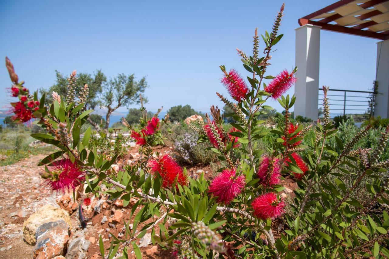 Villa Phenωmena Apartments Kokkino Chorio المظهر الخارجي الصورة
